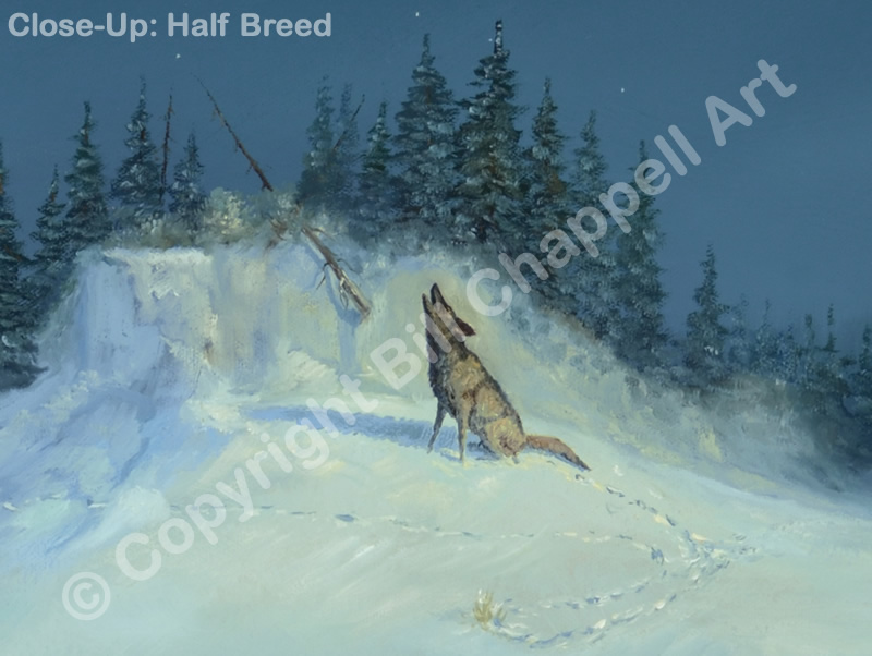 Call&nbsp;of&nbsp;the&nbsp;Wild&nbsp;(Gift&nbsp;Card)