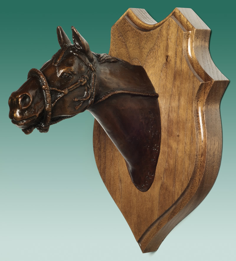 Hackamore&nbsp;(Bronze)